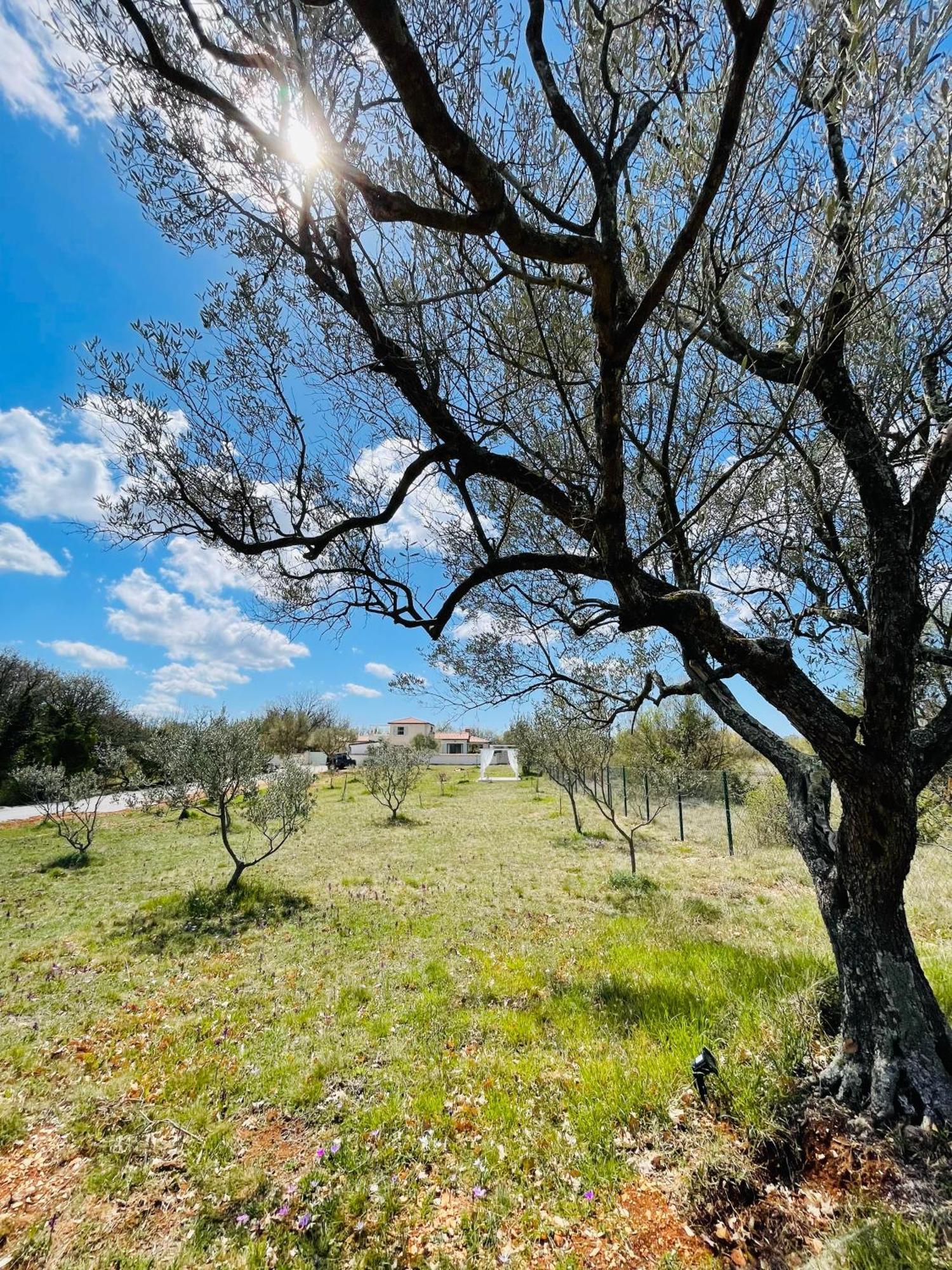 Luxury Villa In Istria - 9,000 Sqm Private Estate With Pool & Sauna, 15 Min To Sea, Near Fazana, 3 Bedrooms Juršići Extérieur photo