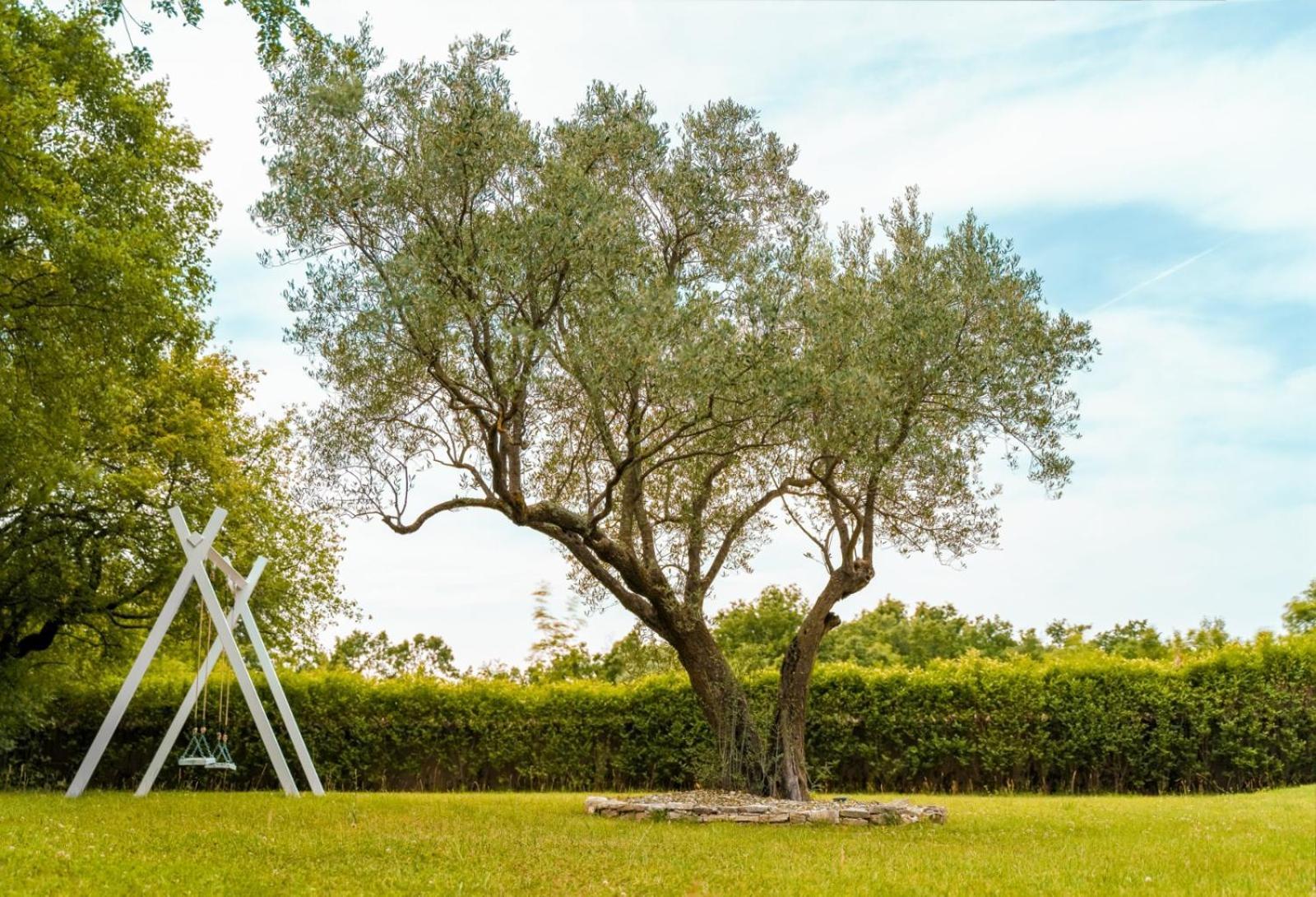 Luxury Villa In Istria - 9,000 Sqm Private Estate With Pool & Sauna, 15 Min To Sea, Near Fazana, 3 Bedrooms Juršići Extérieur photo